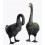 Bronze animalier : canard en bronze BRZ0082V ( H .68 x L .40 Cm ) Poids : 20 Kg 