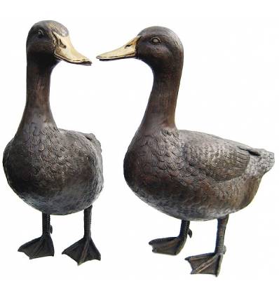 Bronze animalier : canard en bronze BRZ0207 ( H .40 x L .40 Cm ) Poids : 9 Kg 