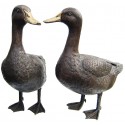 canard en bronze BRZ0207 ( H .40 x L .40 Cm ) Poids : 9 Kg 