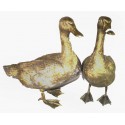 canard en bronze BRZ0207V ( H .40 x L .40 Cm ) Poids : 9 Kg 