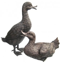 Bronze animalier : canard en bronze BRZ0384 ( H .45 x L .30 Cm ) Poids : 10 Kg 