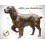 Bronze animalier : chien en bronze ad324-100 ( H .52 x L .68 Cm )