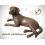 Bronze animalier : chien en bronze ad325-500 ( H .50 x L .100 Cm )