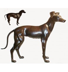 chien en bronze BRZ0097 ( H .71 x L .99 Cm )