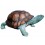 Tortue BRZ1231 ( H .63 x L .135 Cm ) Poids : 93 Kg 