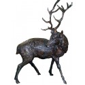 Cerf en bronze BRZ0529 ( H .193 x L .127 Cm ) 200 kgs