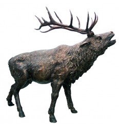 Cerf en bronze BRZ0892 ( H .178 x L .226 Cm )