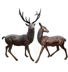 Cerf en bronze BRZ1294 - COUPLE ( H .216 ET H .135 Cm ) Poids : 163 Kg 