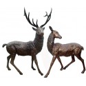 Cerf en bronze BRZ1294 - COUPLE ( H .216 ET H .135 Cm ) Poids : 163 Kg 