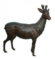 Cerf en bronze BRZ1337 ( H .117 x L .110 Cm ) Poids : 45 Kg 