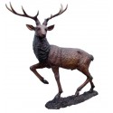 Cerf en bronze BRZ989 ( H .155 x L .127 Cm )