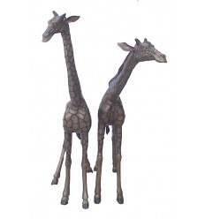 girafe en bronze BRZ0591 ( H .175 x L .160 Cm ) Poids : 96 Kg 