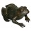 grenouille en bronze BRZ0631-15 ( H .38 x L . Cm ) Poids : 5 Kg 