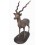 oryx en bronze BRZ1432-14  ( H .38 x L .30 Cm )  Poids : 0,5 Kg 