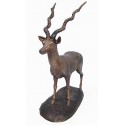  oryx en bronze BRZ1432-14 ( H .38 x L .30 Cm ) Poids : 0,5 Kg 