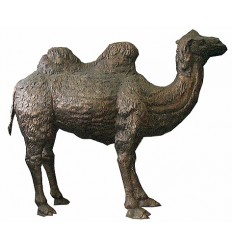 Chameau en bronze BRZ0361 ( H .220 x L :330 Cm )