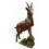 Chèvre en bronze BRZ1365-60 ( H .152 x L :94 Cm ) Poids : 58 Kg 