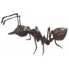 fourmie en bronze BRZ0483M ( H .25 x L .48 Cm ) Poids : 4,5 Kg