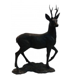 Cerf en bronze BRZ1711 ( H .107 x L 90 Cm ) 28 kg