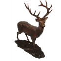 cerf en bronze BRZ0998 ( H .38 x L .30 Cm ) poids 3.5 kgs 