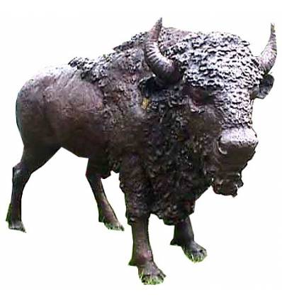 Bronze animalier : bison en bronze BRZ0267 ( H .244 x L . Cm ) Poids : 310 Kg 