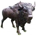 bison en bronze BRZ0267 ( H .244 x L . Cm ) Poids : 310 Kg 