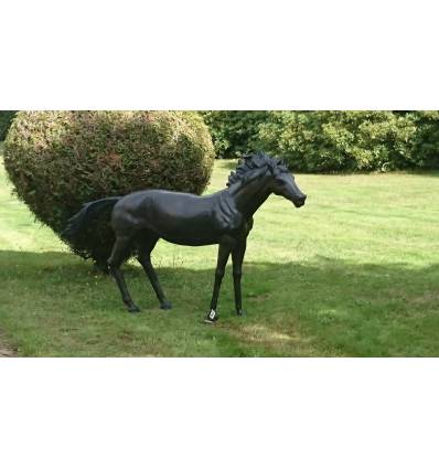 Bronze animalier :Cheval en bronze BRZ0362 ( H .137 x L .241 Cm )