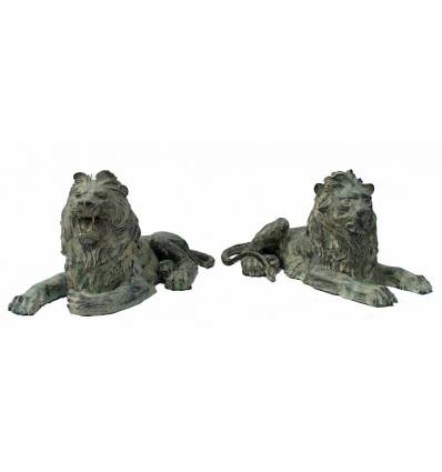 Couple de lions en bronze BRZ0178V ( H .35 x L :68 Cm ) Poids : 40 Kg 