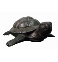 Tortue en bronze BRZ1686 ( H .32 x L .95 Cm ) Poids : 30 Kg