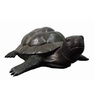 Tortue en bronze BRZ1686 ( H .32 x L .95 Cm ) Poids : 30 Kg