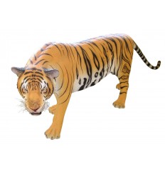 Sculpture tigre : FIG01