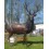 cerf en bronze et bois véritable brz1746C-BOIS (H 230 L 215) Poids 270 kgs
